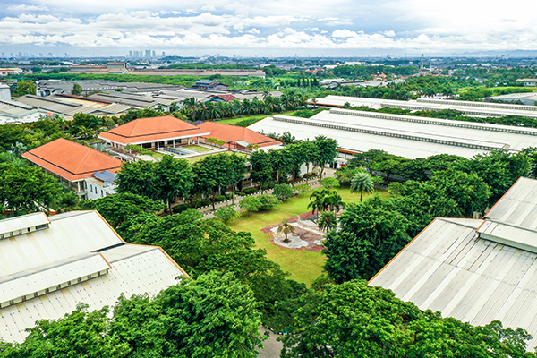 對社會經濟的影響